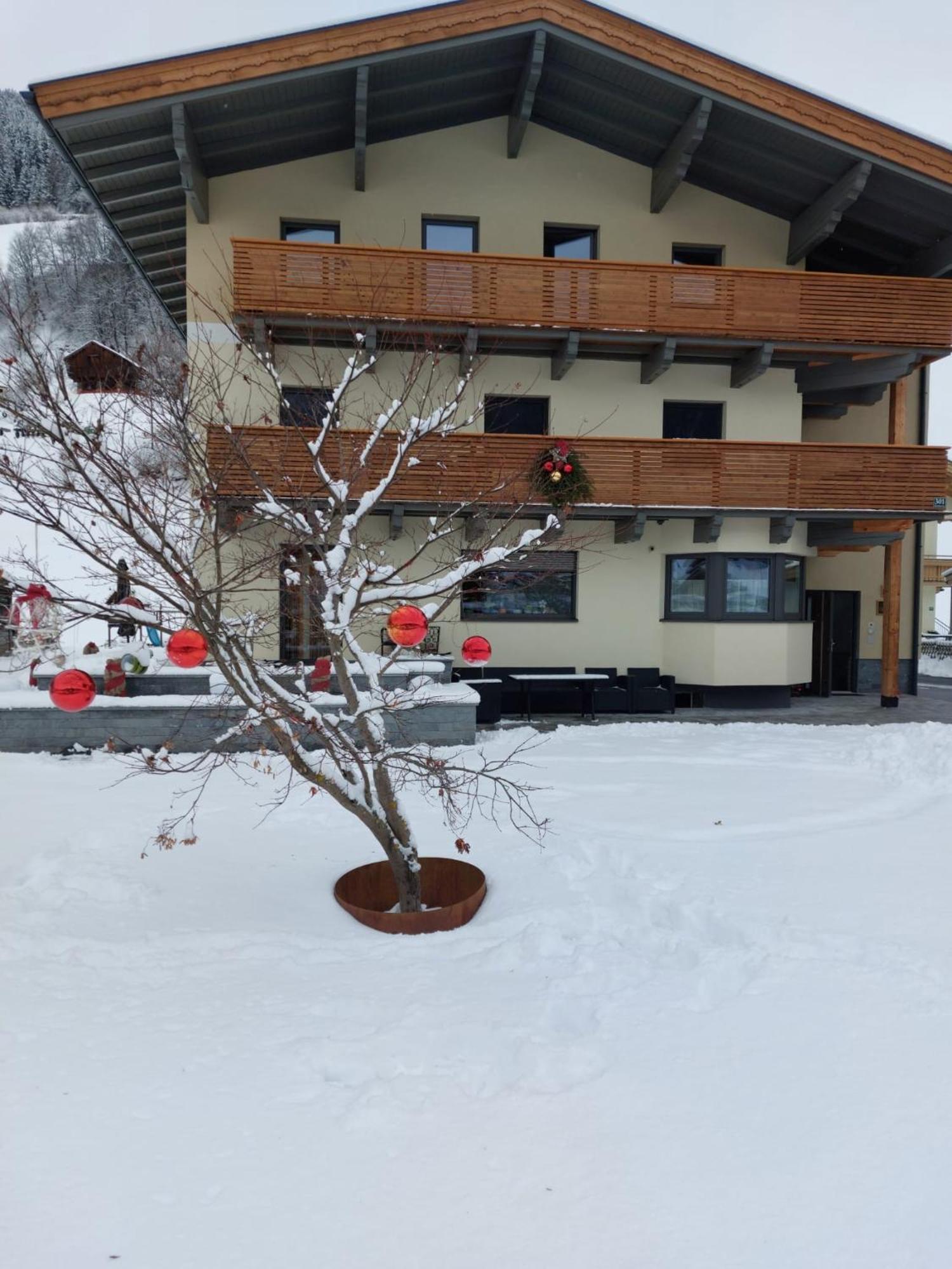 Appartement Reichholf 브람베르크 암 빌트코겔 외부 사진